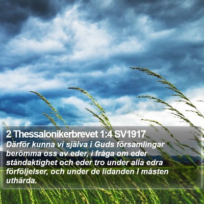 2 Thessalonikerbrevet 1:4 SV1917 Bible Verse Image