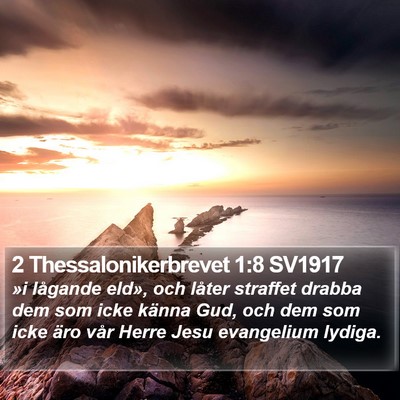 2 Thessalonikerbrevet 1:8 SV1917 Bible Verse Image