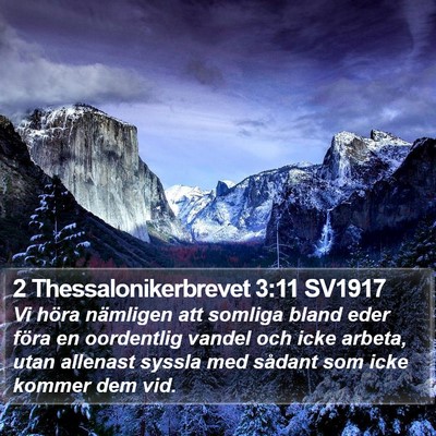2 Thessalonikerbrevet 3:11 SV1917 Bible Verse Image