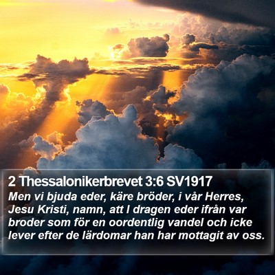 2 Thessalonikerbrevet 3:6 SV1917 Bible Verse Image