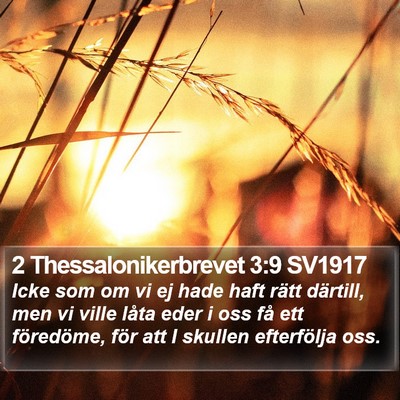 2 Thessalonikerbrevet 3:9 SV1917 Bible Verse Image
