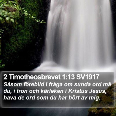 2 Timotheosbrevet 1:13 SV1917 Bible Verse Image