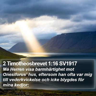 2 Timotheosbrevet 1:16 SV1917 Bible Verse Image