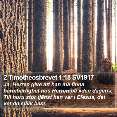 2 Timotheosbrevet 1:18 SV1917 Bible Verse Image