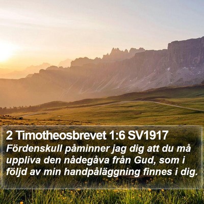 2 Timotheosbrevet 1:6 SV1917 Bible Verse Image