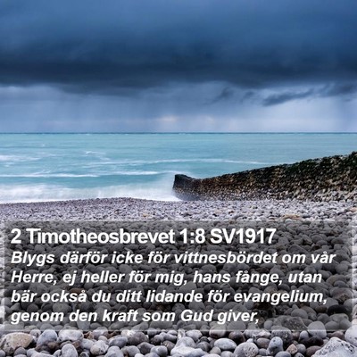 2 Timotheosbrevet 1:8 SV1917 Bible Verse Image