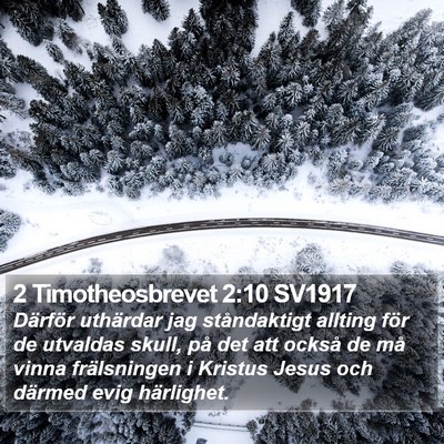 2 Timotheosbrevet 2:10 SV1917 Bible Verse Image