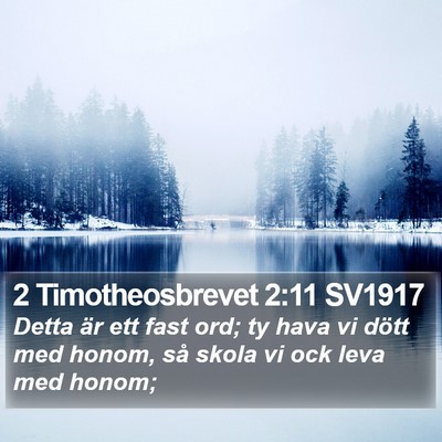 2 Timotheosbrevet 2:11 SV1917 Bible Verse Image