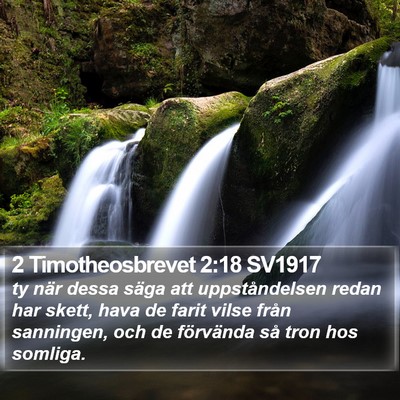 2 Timotheosbrevet 2:18 SV1917 Bible Verse Image