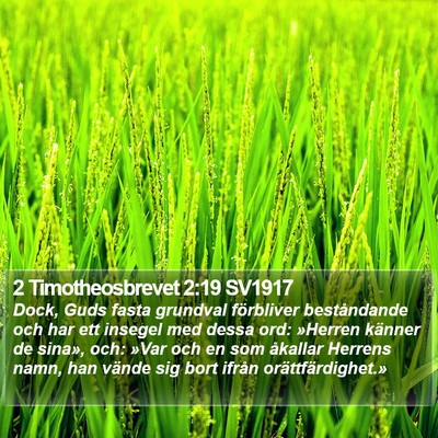2 Timotheosbrevet 2:19 SV1917 Bible Verse Image