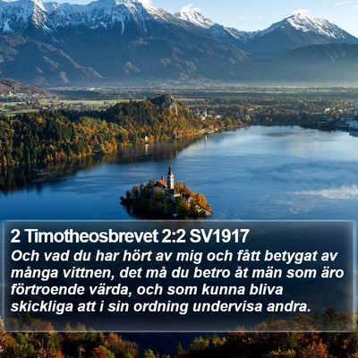 2 Timotheosbrevet 2:2 SV1917 Bible Verse Image