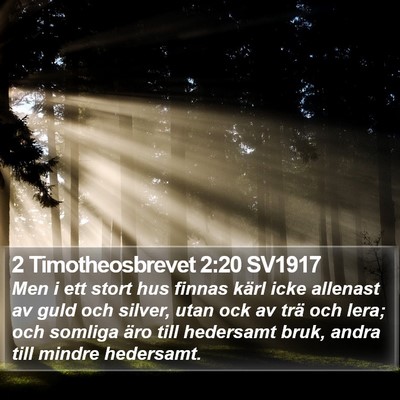 2 Timotheosbrevet 2:20 SV1917 Bible Verse Image