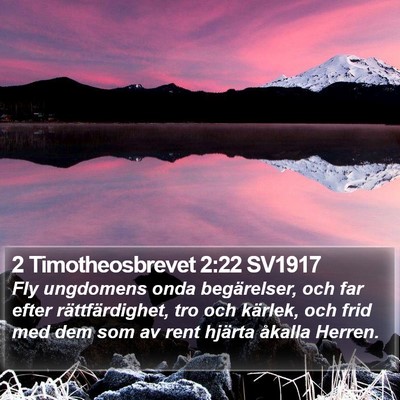 2 Timotheosbrevet 2:22 SV1917 Bible Verse Image