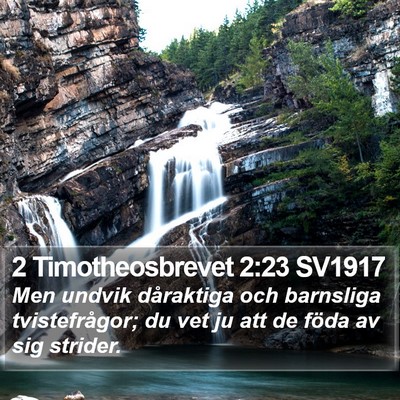 2 Timotheosbrevet 2:23 SV1917 Bible Verse Image