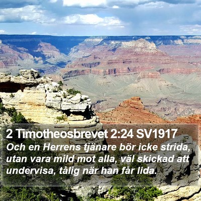 2 Timotheosbrevet 2:24 SV1917 Bible Verse Image