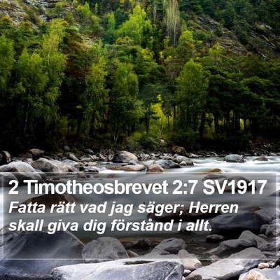 2 Timotheosbrevet 2:7 SV1917 Bible Verse Image
