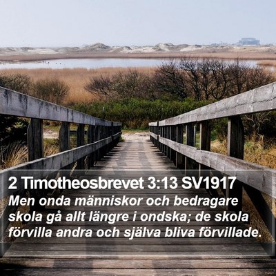 2 Timotheosbrevet 3:13 SV1917 Bible Verse Image
