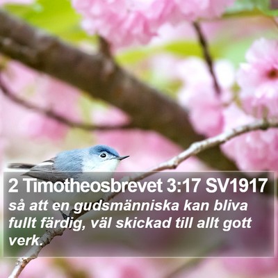 2 Timotheosbrevet 3:17 SV1917 Bible Verse Image