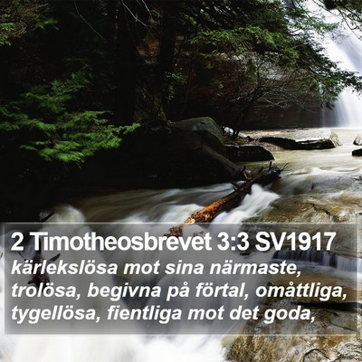 2 Timotheosbrevet 3:3 SV1917 Bible Verse Image