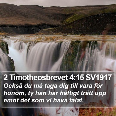 2 Timotheosbrevet 4:15 SV1917 Bible Verse Image