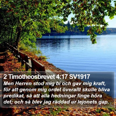 2 Timotheosbrevet 4:17 SV1917 Bible Verse Image