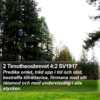 2 Timotheosbrevet 4:2 SV1917 Bible Verse Image