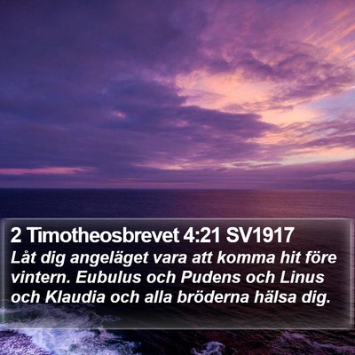 2 Timotheosbrevet 4:21 SV1917 Bible Verse Image