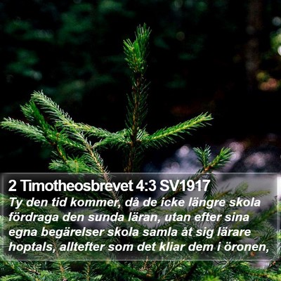 2 Timotheosbrevet 4:3 SV1917 Bible Verse Image