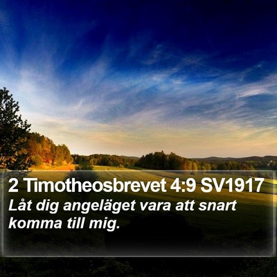 2 Timotheosbrevet 4:9 SV1917 Bible Verse Image