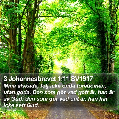 3 Johannesbrevet 1:11 SV1917 Bible Verse Image