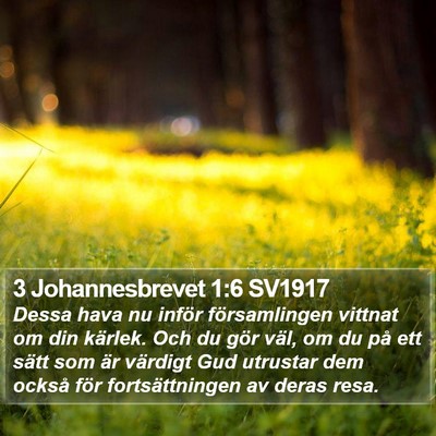 3 Johannesbrevet 1:6 SV1917 Bible Verse Image