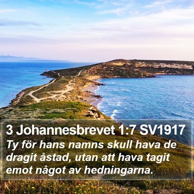 3 Johannesbrevet 1:7 SV1917 Bible Verse Image