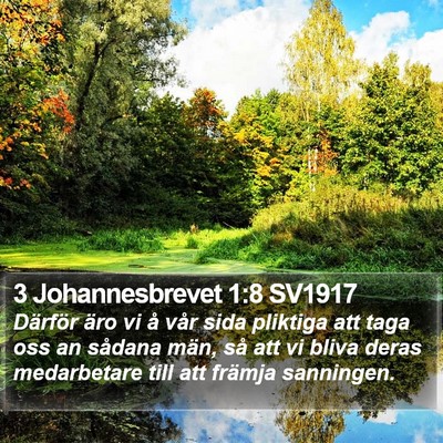 3 Johannesbrevet 1:8 SV1917 Bible Verse Image