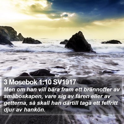 3 Mosebok 1:10 SV1917 Bible Verse Image