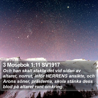 3 Mosebok 1:11 SV1917 Bible Verse Image