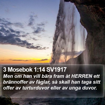 3 Mosebok 1:14 SV1917 Bible Verse Image