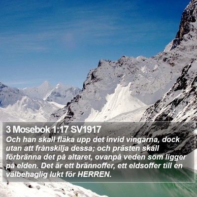 3 Mosebok 1:17 SV1917 Bible Verse Image