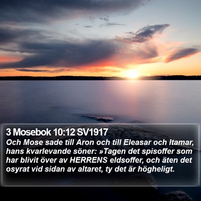 3 Mosebok 10:12 SV1917 Bible Verse Image