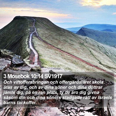 3 Mosebok 10:14 SV1917 Bible Verse Image
