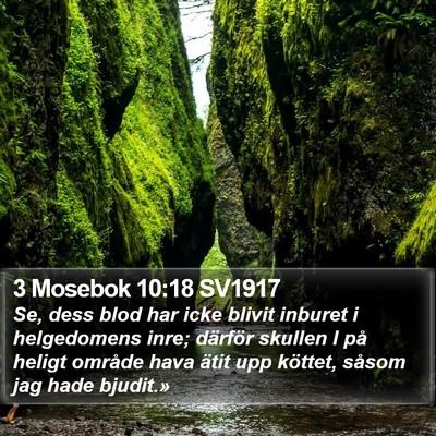 3 Mosebok 10:18 SV1917 Bible Verse Image
