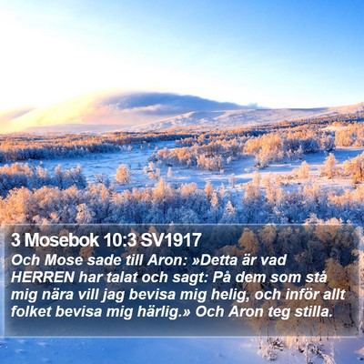 3 Mosebok 10:3 SV1917 Bible Verse Image