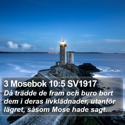 3 Mosebok 10:5 SV1917 Bible Verse Image