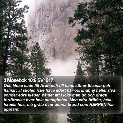 3 Mosebok 10:6 SV1917 Bible Verse Image