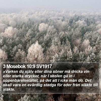 3 Mosebok 10:9 SV1917 Bible Verse Image