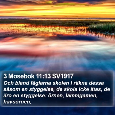 3 Mosebok 11:13 SV1917 Bible Verse Image
