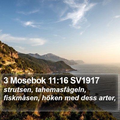 3 Mosebok 11:16 SV1917 Bible Verse Image