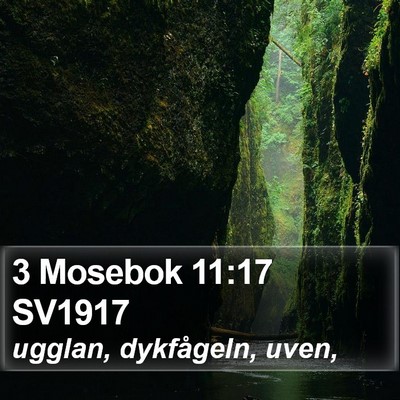 3 Mosebok 11:17 SV1917 Bible Verse Image