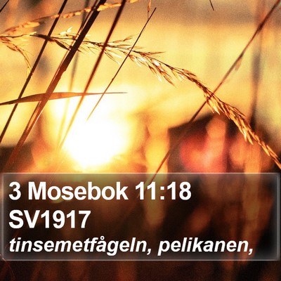 3 Mosebok 11:18 SV1917 Bible Verse Image