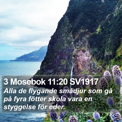 3 Mosebok 11:20 SV1917 Bible Verse Image