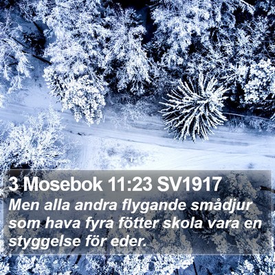 3 Mosebok 11:23 SV1917 Bible Verse Image